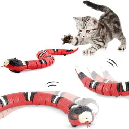 Purr & Paw Kobra játék