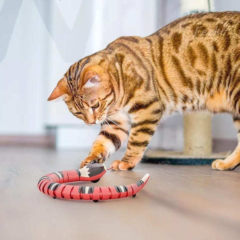 Purr & Paw Kobra játék