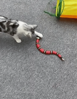 Purr & Paw Kobra játék